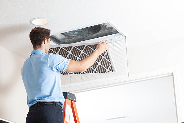 Best HVAC Installation Services  in Holtville, AL